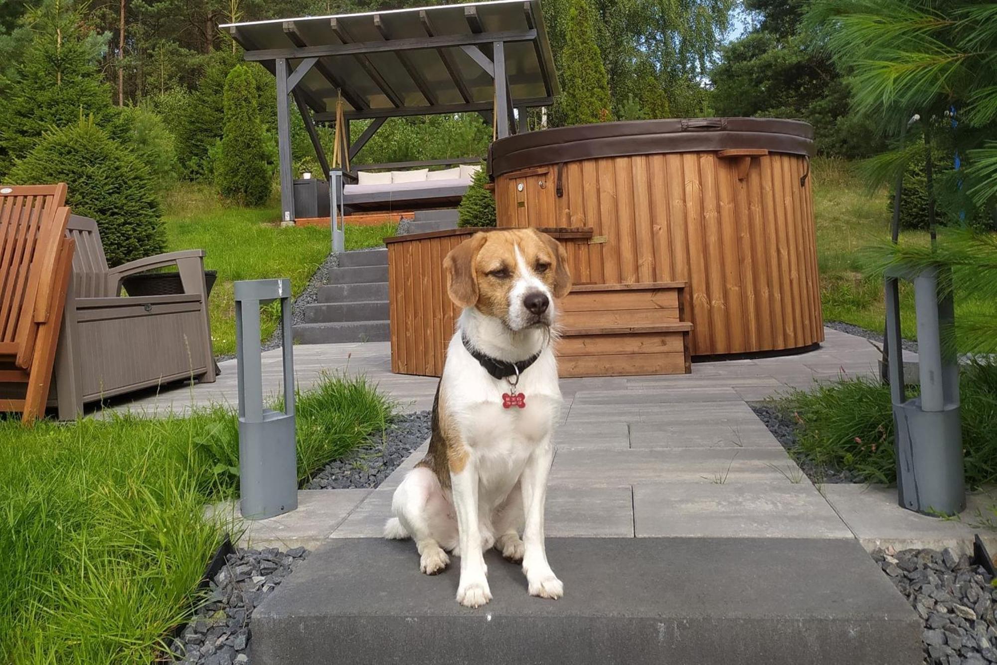 Dom Na Wzgorzu Z Widokiem Na Jezioro Z Balia I Sauna Lipnica  Dış mekan fotoğraf